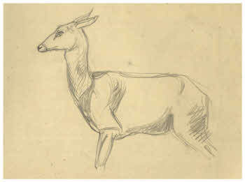 Visualizza l'immagine "FD D 1889"